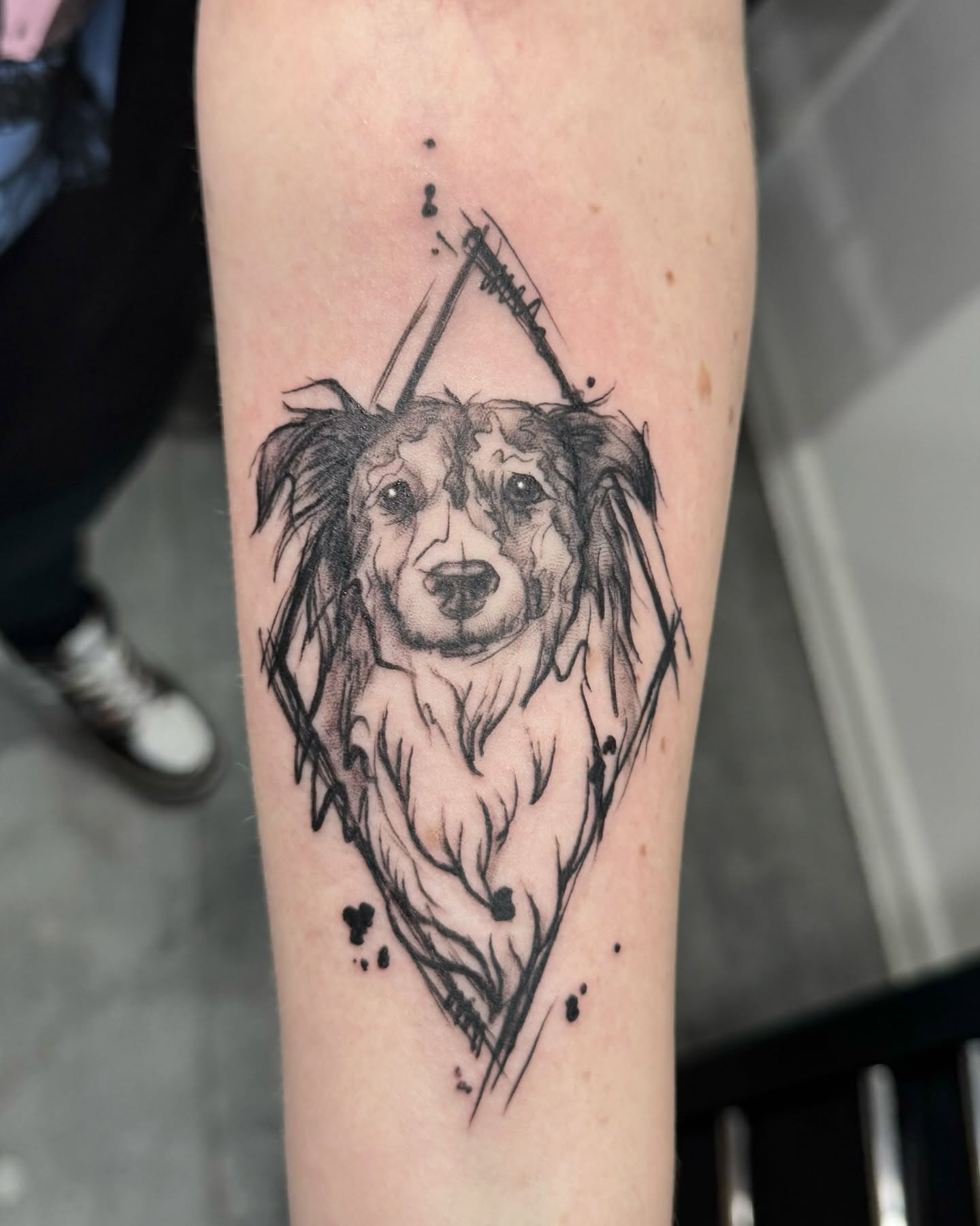 Tatuaż black and grey — portret psa